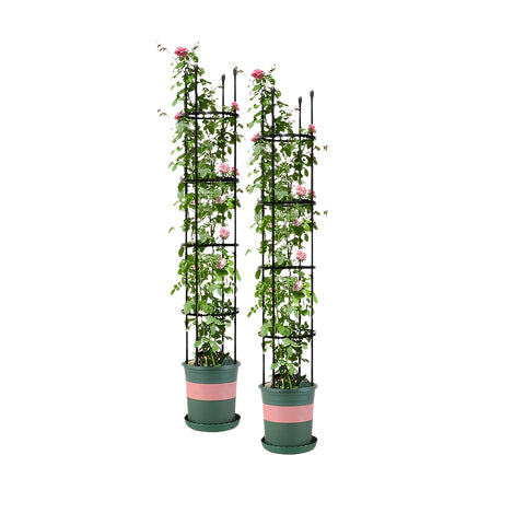 SOGA 2X 163cm 4-Bar Plant Frame Stand Trellis Vegetable Flower Herbs Outdoor Vine Support Garden PLANTTUBE163X2