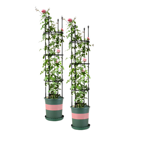 SOGA 2X 133cm 4-Bar Plant Frame Stand Trellis Vegetable Flower Herbs Outdoor Vine Support Garden PLANTTUBE133X2