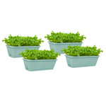 SOGA 49.5cm Green Rectangular Planter Vegetable Herb Flower Outdoor Plastic Box with Holder Balcony PLANTBOX4Y