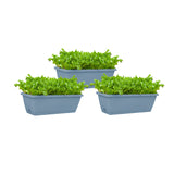 SOGA 49.5cm Blue Rectangular Planter Vegetable Herb Flower Outdoor Plastic Box with Holder Balcony PLANTBOX3W