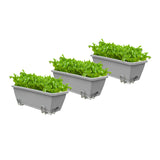 SOGA 49.5cm Gray Rectangular Planter Vegetable Herb Flower Outdoor Plastic Box with Holder Balcony PLANTBOX3H