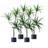 SOGA 4X 180cm Green Artificial Indoor Brazlian Iron Tree Fake Plant Decorative 3 Heads APLANTFHBS18090X4