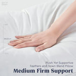 Puredown Goose Down and Feather Pillow Inserts for Sleeping, 100% Cotton Fabric Cover Bed Pillows, V541-PD-DP15021-Q