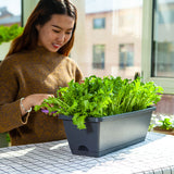 SOGA 49.5cm Black Rectangular Planter Vegetable Herb Flower Outdoor Plastic Box with Holder Balcony PLANTBOX4G