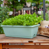 SOGA 49.5cm Green Rectangular Planter Vegetable Herb Flower Outdoor Plastic Box with Holder Balcony PLANTBOX2Y