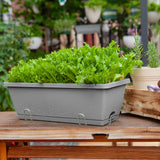 SOGA 49.5cm Gray Rectangular Planter Vegetable Herb Flower Outdoor Plastic Box with Holder Balcony PLANTBOX4H