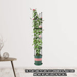 SOGA 2X 163cm 4-Bar Plant Frame Stand Trellis Vegetable Flower Herbs Outdoor Vine Support Garden PLANTTUBE163X2