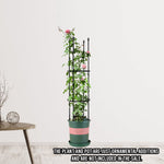 SOGA 2X 103cm 4-Bar Plant Frame Stand Trellis Vegetable Flower Herbs Outdoor Vine Support Garden PLANTTUBE103X2