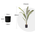 SOGA 180cm Artificial Green Rogue Hares Foot Fern Tree Fake Tropical Indoor Plant Home Office Decor APLANTLGY1808