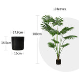 SOGA 180cm Artificial Natural Green Fan Palm Tree Fake Tropical Indoor Plant Home Office Decor APLANTSKS18010