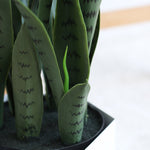 SOGA 2X 95cm Sansevieria Snake Artificial Plants with Black Plastic Planter Greenery, Home Office APLANTFH9510X2