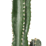 SOGA 120cm Green Artificial Indoor Cactus Tree Fake Plant Simulation Decorative 6 Heads APLANTFH1206