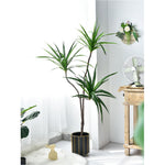 SOGA 2X 180cm Green Artificial Indoor Brazlian Iron Tree Fake Plant Decorative 3 Heads APLANTFHBS18090X2