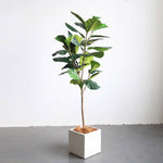 SOGA 2X 120cm Green Artificial Indoor Qin Yerong Tree Fake Plant Simulation Decorative APLANTFH12024X2