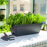 SOGA 49.5cm Black Rectangular Planter Vegetable Herb Flower Outdoor Plastic Box with Holder Balcony PLANTBOX3G