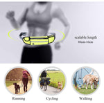 SOGA 2X Yellow Adjustable Hands-Free Pet Leash Bag Dog Lead Walking Running Jogging Pet Essentials PETLEASH009X2