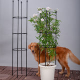 SOGA 2X 133cm 4-Bar Plant Frame Stand Trellis Vegetable Flower Herbs Outdoor Vine Support Garden PLANTTUBE133X2