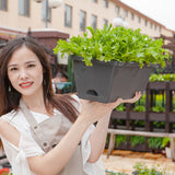 SOGA 49.5cm Black Rectangular Planter Vegetable Herb Flower Outdoor Plastic Box with Holder Balcony PLANTBOX2G