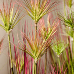 SOGA 120cm Purple-Red Artificial Indoor Potted Papyrus Plant Tree Fake Simulation Decorative APLANTFH60152