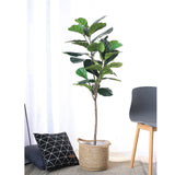 SOGA 2X 155cm Green Artificial Indoor Qin Yerong Tree Fake Plant Simulation Decorative APLANTFH15536X2