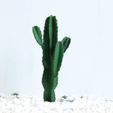 SOGA 70cm Green Artificial Indoor Cactus Tree Fake Plant Simulation Decorative 5 Heads APLANTFHLT705