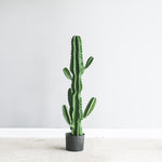 SOGA 105cm Green Artificial Indoor Cactus Tree Fake Plant Simulation Decorative 6 Heads APLANTFLT1056