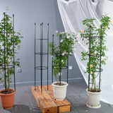 SOGA 2X 163cm 4-Bar Plant Frame Stand Trellis Vegetable Flower Herbs Outdoor Vine Support Garden PLANTTUBE163X2