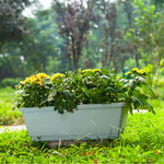 SOGA 49.5cm Blue Rectangular Planter Vegetable Herb Flower Outdoor Plastic Box with Holder Balcony PLANTBOX2W