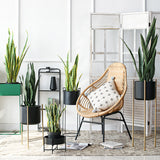 SOGA 2X 97cm Sansevieria Snake Artificial Plants with Black Plastic Planter Greenery, Home Office APLANTFH9712X2