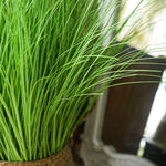 SOGA 2X 110cm Artificial Indoor Potted Reed Bulrush Grass Tree Fake Plant Simulation Decorative APLANTFH6022X2