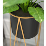 SOGA 50cm Gold Metal Plant Stand with Black Flower Pot Holder Corner Shelving Rack Indoor Display FPOTH52BLK