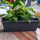 SOGA 49.5cm Black Rectangular Planter Vegetable Herb Flower Outdoor Plastic Box with Holder Balcony PLANTBOX4G