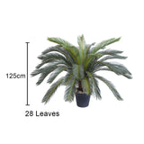 SOGA 2X 155cm Artificial Indoor Cycas Revoluta Cycad Sago Palm Fake Decoration Tree Pot Plant APLANTFH107130AX2
