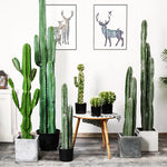 SOGA 105cm Green Artificial Indoor Cactus Tree Fake Plant Simulation Decorative 6 Heads APLANTFLT1056