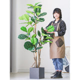 SOGA 2X 155cm Green Artificial Indoor Qin Yerong Tree Fake Plant Simulation Decorative APLANTFH15536X2