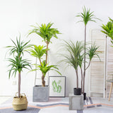 SOGA 180cm Green Artificial Indoor Brazlian Iron Tree Fake Plant Decorative 3 Heads APLANTFHBS18090