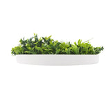 Flowering White Artificial Green Wall Disc UV Resistant 100cm V77-8880023