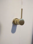 2021 New Brass Burnished Gold round hand held SHOWER HEAD adjust holder mixer V549-IF_5C6CC944-1