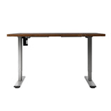 Artiss Standing Desk Motorised 120CM Rustic Brown HASD-114G-GYDF-RBDB-120