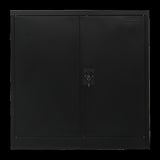 Two-Door Metal Short Cabinet Shelf Storage for Home Office Gym V63-844401