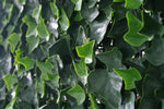 Ivy Leaf Screens / Panels UV Stabilised 1m X 1m V77-1000508