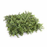 Deluxe Portable Buxus Hedges UV Stabilised 150cm Long X 150cm High V77-1012755