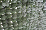 Double Sided Ivy Rolls 3m x 1m V77-1016477