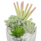 Potted Artificial Succulent Bowl with Marble Pot 20.5cm V77-1780015