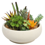 Potted Artificial Succulent Bowl with Natural Stone Pot 21cm V77-17800163