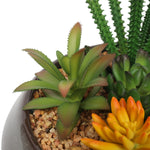 Potted Artificial Succulents with Round Decorative Bowl 19cm V77-1780016