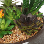 Potted Artificial Succulents with Round Decorative Bowl 19cm V77-1780016