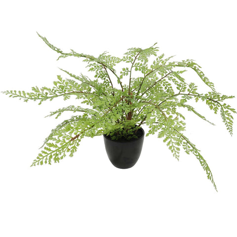 Faux Small Potted Fern 35cm V77-1890011