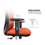 Sihoo M18 Ergonomic Office Chair, Computer Chair Desk Chair High Back Chair Breathable,3D Armrest V255-SIHOO-M18-025-BK