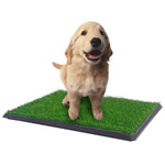 YES4PETS XL Indoor Dog Puppy Toilet Grass Training Mat Loo Pad Potty W 2 Grass V278-PET-POTTY-HH196-W-2GRASS